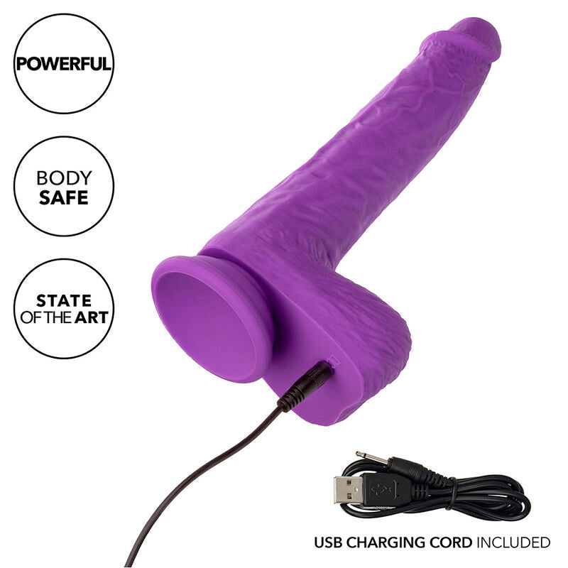 CALEXOTICS - STUDS RECHARGEABLE AND ROTATING VIBRATOR 10 VIBRATIONS PURPLE - Amore24