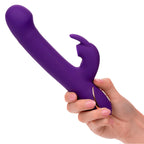 CALEXOTICS - JACK RABBIT VIBRATOR & STIMULATOR 7 VIBRATIONS AND SUCTIONS MODE BLUE - Amore24