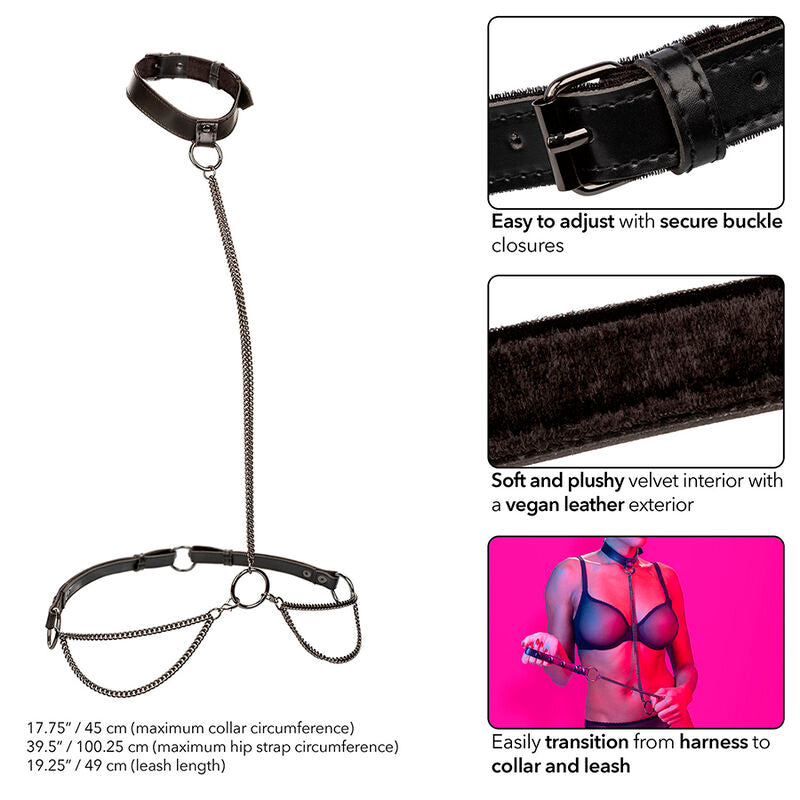 CALEXOTICS - EUPHORIA CHAIN HALTER COLLAR & LEASH - Amore24