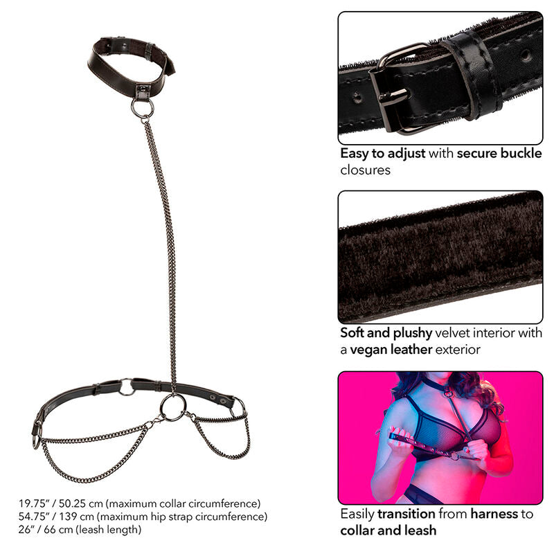 CALEXOTICS - EUPHORIA CHAIN HALTER COLLAR & LEASH PLUS SIZE - Amore24