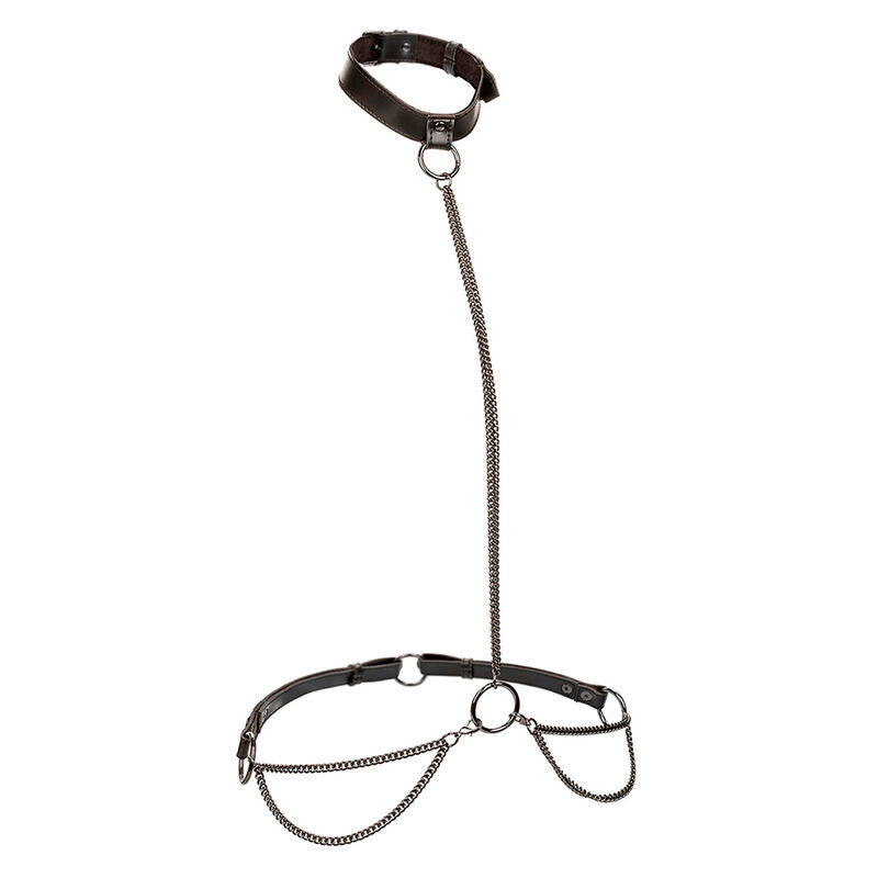 CALEXOTICS - EUPHORIA CHAIN HALTER COLLAR & LEASH PLUS SIZE - Amore24