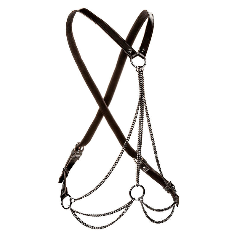 CALEXOTICS - EUPHORIA MULTICHAIN HARNESS PREMIUM PLUS SIZE - Amore24