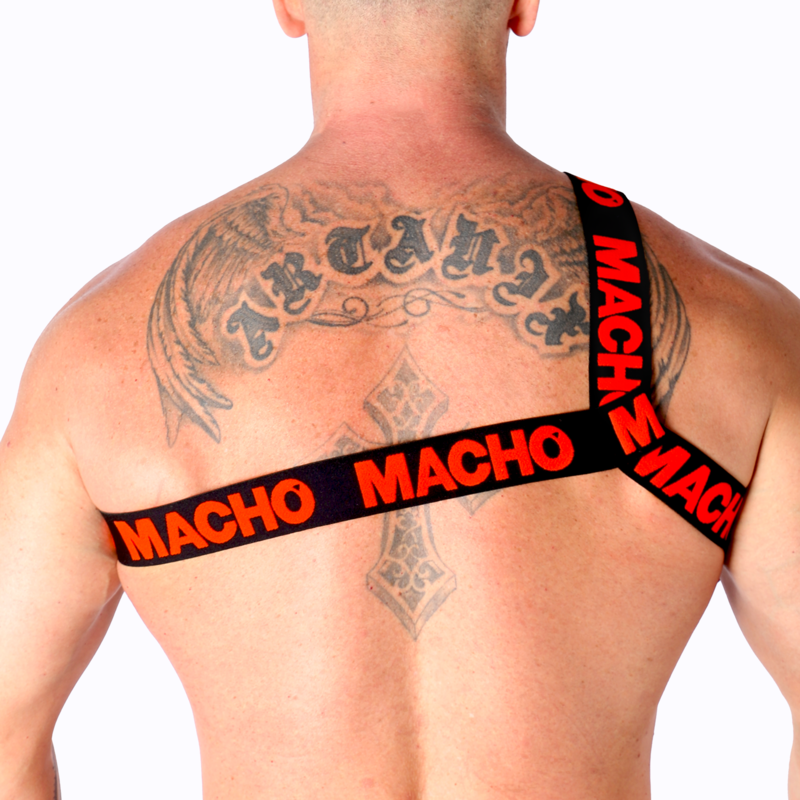 MACHO - ROMAN HARNESS PRIDE L/XL - Amore24