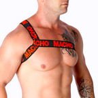 MACHO - ROMAN HARNESS PRIDE L/XL - Amore24