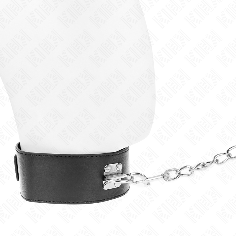 KINK - BASIC MODEL COLLAR WITH LEASH 65 CM MODEL 0 - Amore24