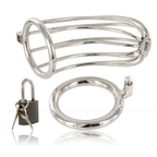METAL HARD - BIRD CHASTITY RING CAGE - Amore24