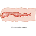 CRAZY BULL - ISABEL VAGINA MASTURBATOR 13.5 CM - Amore24