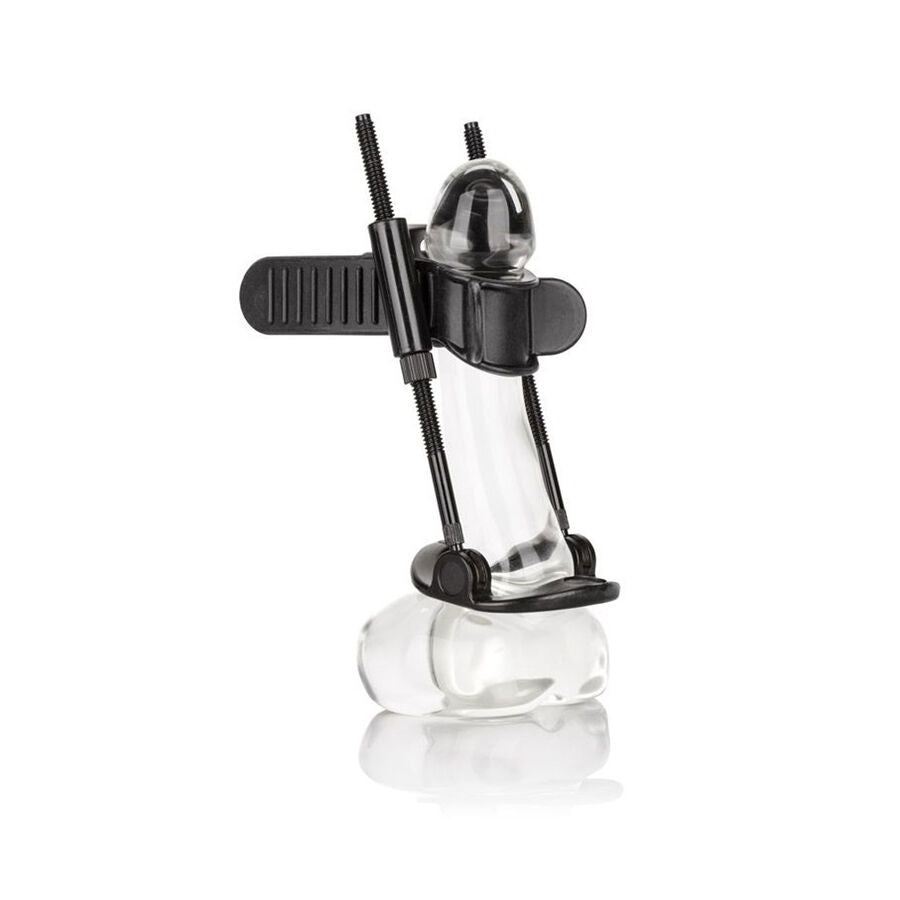 CALEXOTICS - PENIS EXTENDER - Amore24