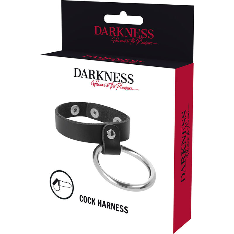 DARKNESS - METAL RING FOR THE PENIS AND TESTICLES - Amore24