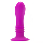 PRETTY LOVE - BOOTY PASSION VIBRATOR PLUG 10V - Amore24